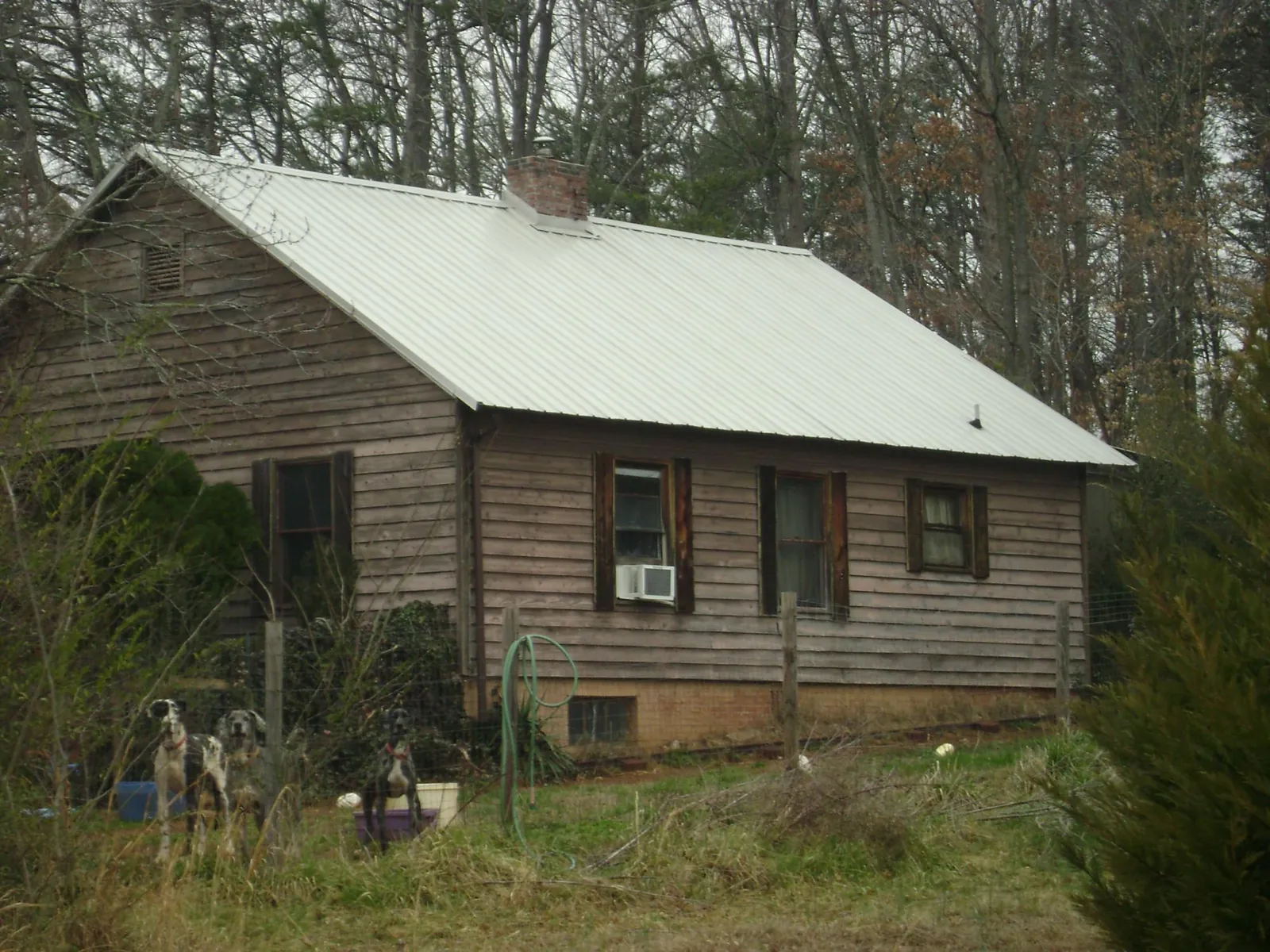 White metal roof on an old wood sided farmhouse, from a Asphalt Shingle Roof Repair job in Mc Gill